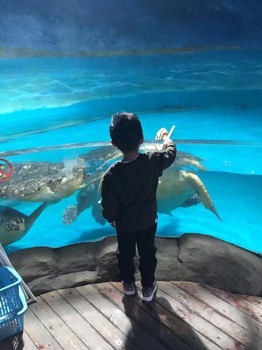 十大外围足球大平台