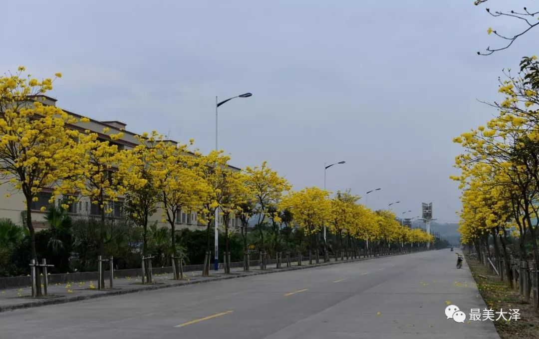 十大外围足球平台app