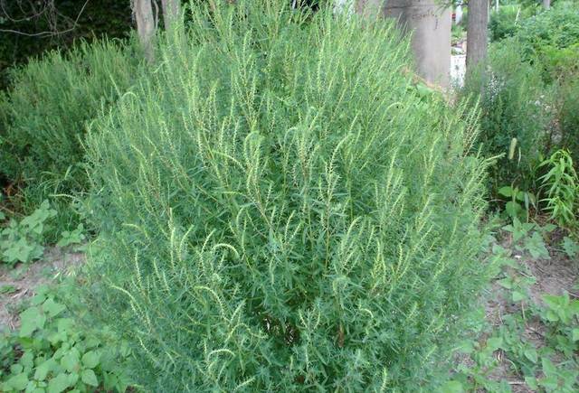 十大外围足球平台app手机版