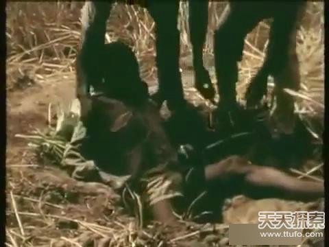 绿色环保装修要点分析“十大外围足球大平台”(图1) 十大外围足球平台app手机版