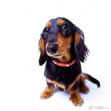 十大外围足球大平台