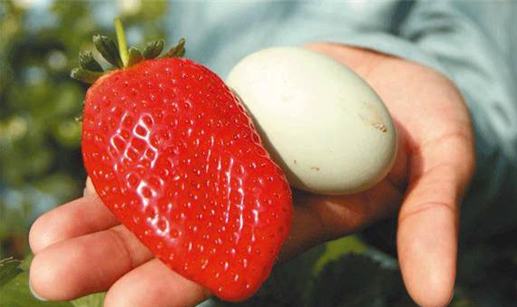 十大外围足球平台app手机版