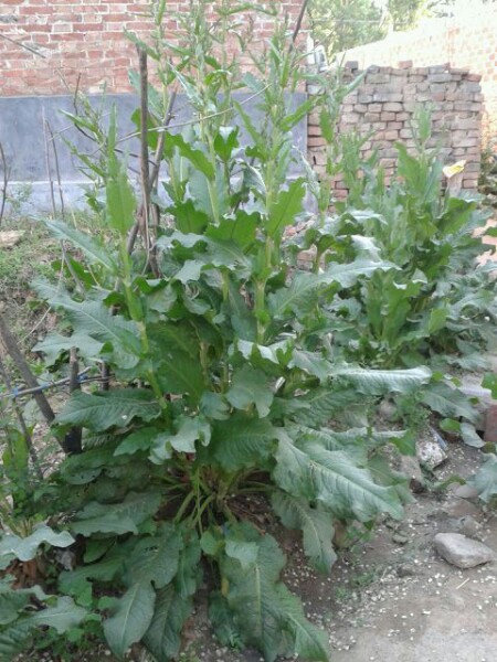 俄媒:莫斯科7名中国游客乘扶梯时跌落 6人受伤“十大外围足球大平台”(图1) 十大外围足球平台app