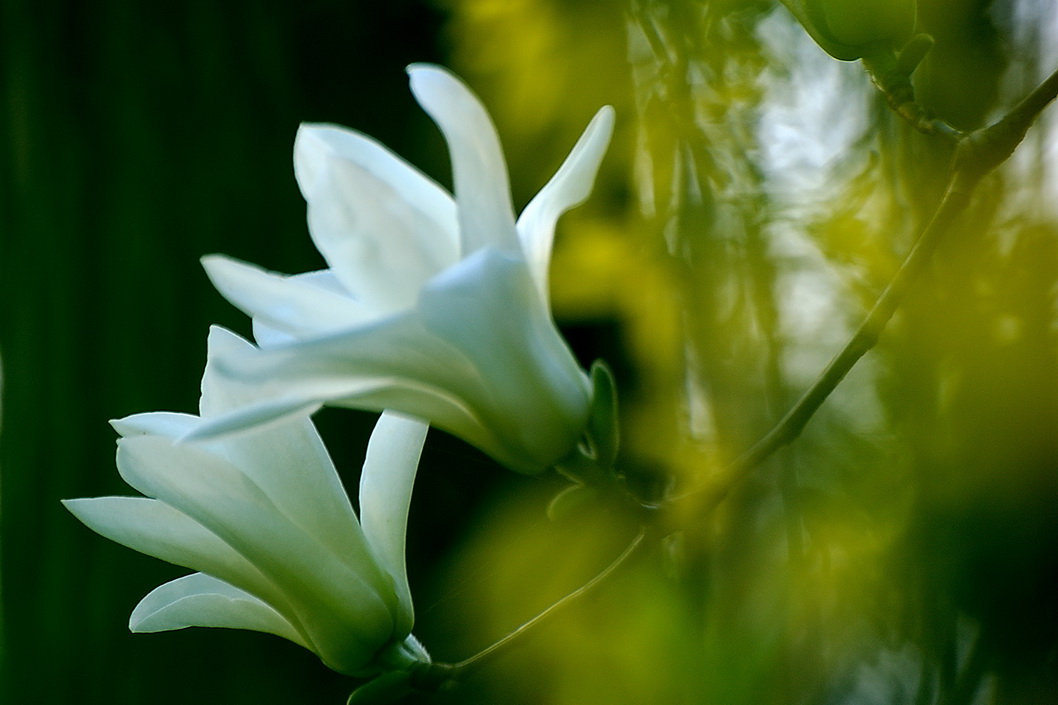 十大外围足球平台app