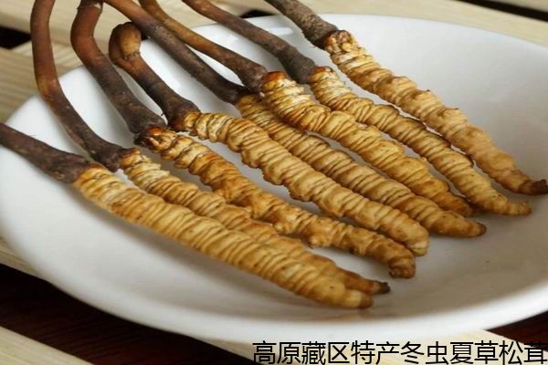 十大外围足球平台app