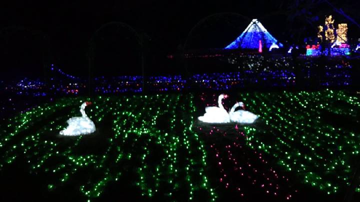 十大外围足球平台app