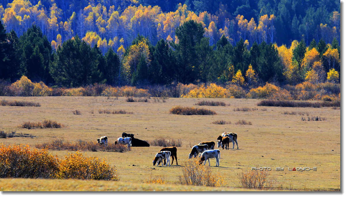 十大外围足球平台app手机版