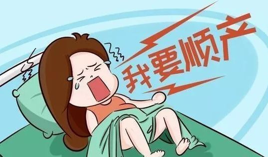 十大外围足球大平台