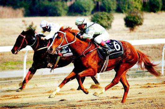 十大外围足球大平台