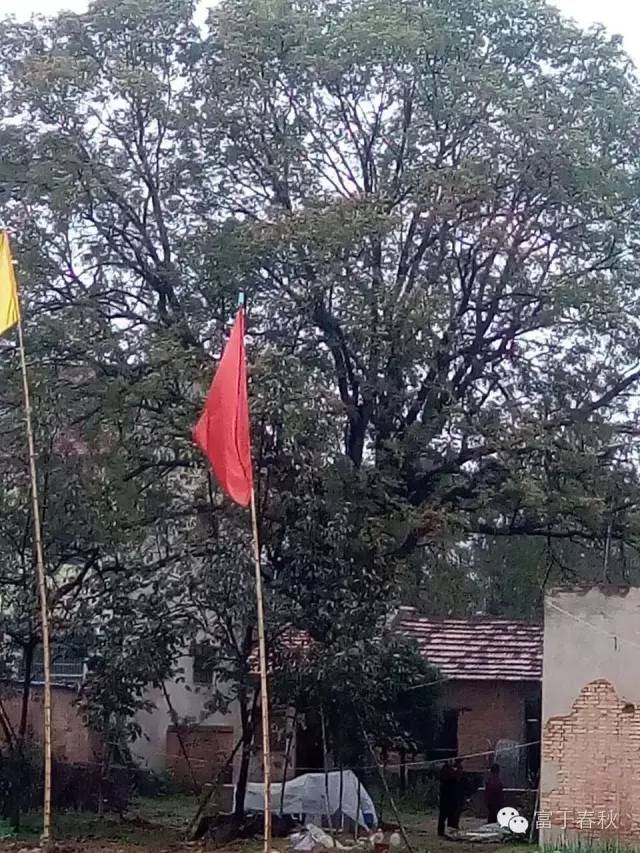 十大外围足球平台app