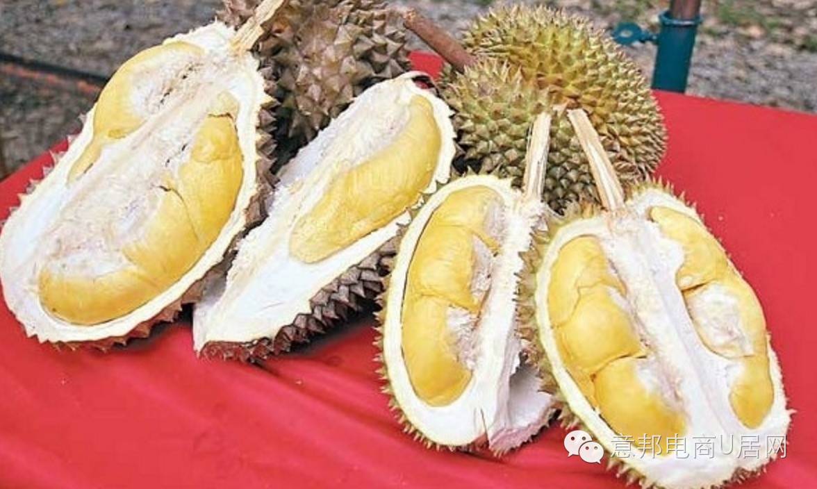 十大外围足球平台app手机版