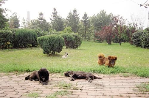 ‘十大外围足球平台app手机版’互联网家装对家居行业而言,是一场思想启蒙运动(图4) 十大外围足球平台app手机版