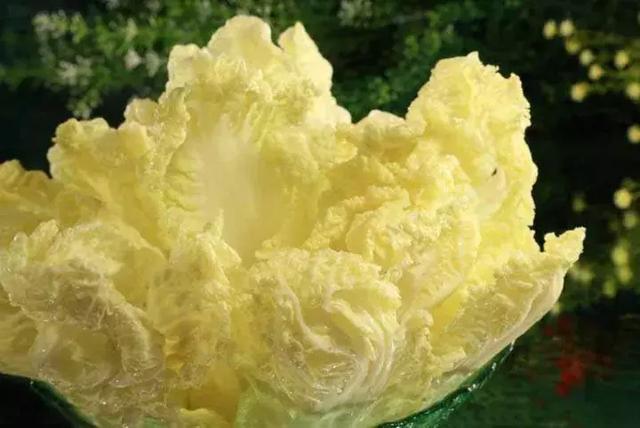 十大外围足球大平台