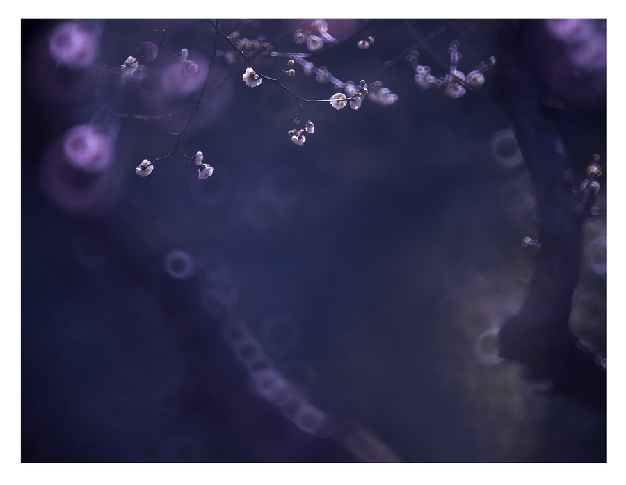 十大外围足球平台app