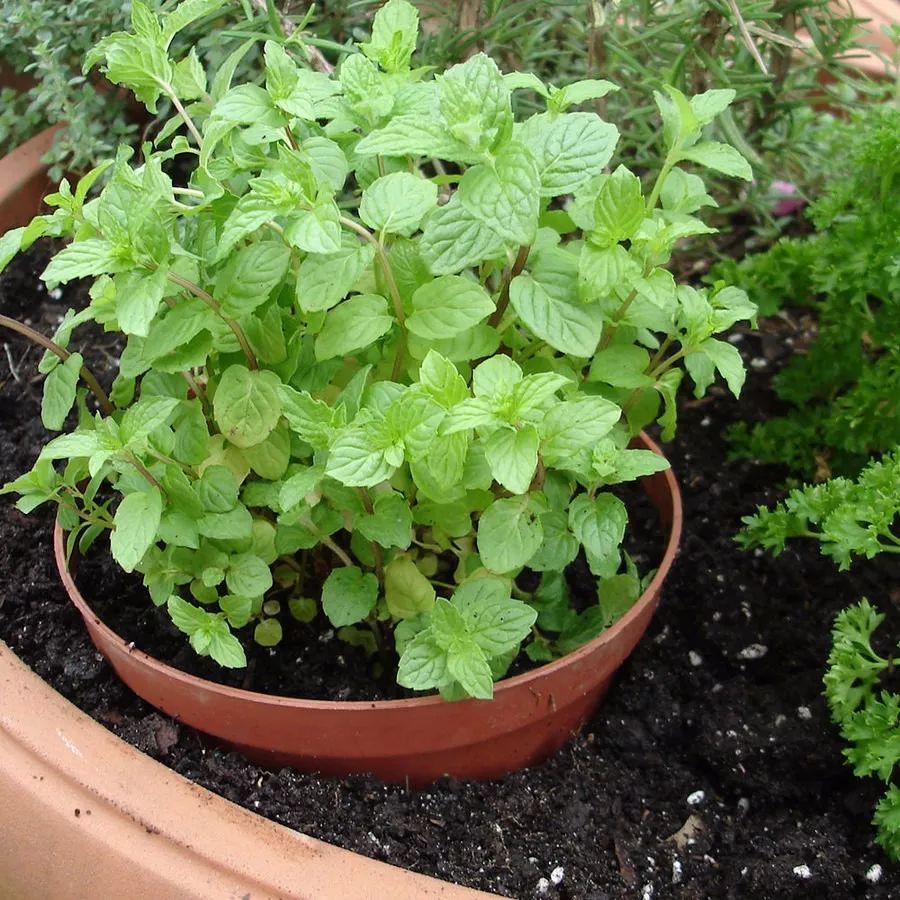 【十大外围足球平台app】封阳台施工需要注意什么?(图2) 十大外围足球平台app手机版