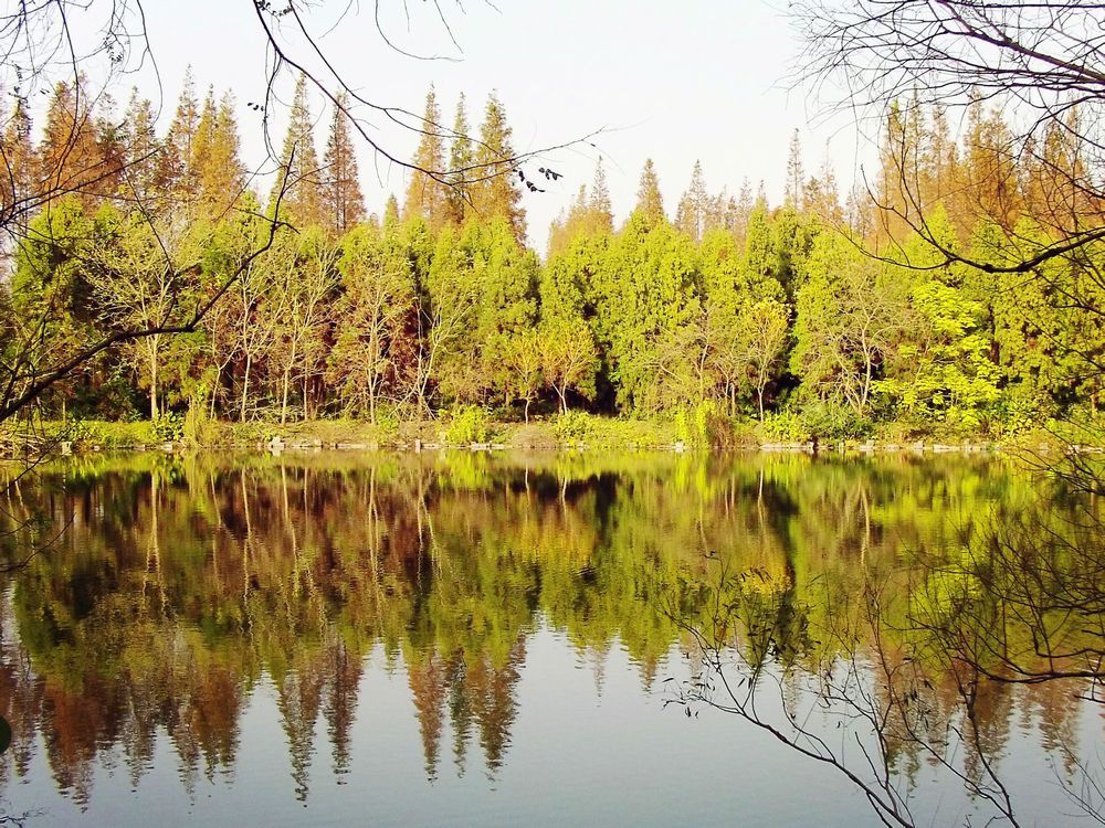 十大外围足球平台app