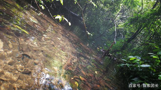 十大外围足球平台app|铝合金门窗颜色有哪些 如何挑选铝合金门窗颜色(图1) 十大外围足球平台app