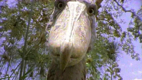 十大外围足球大平台