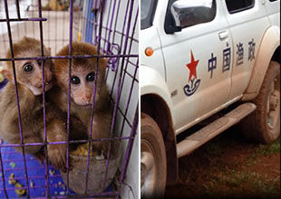 十大外围足球平台app