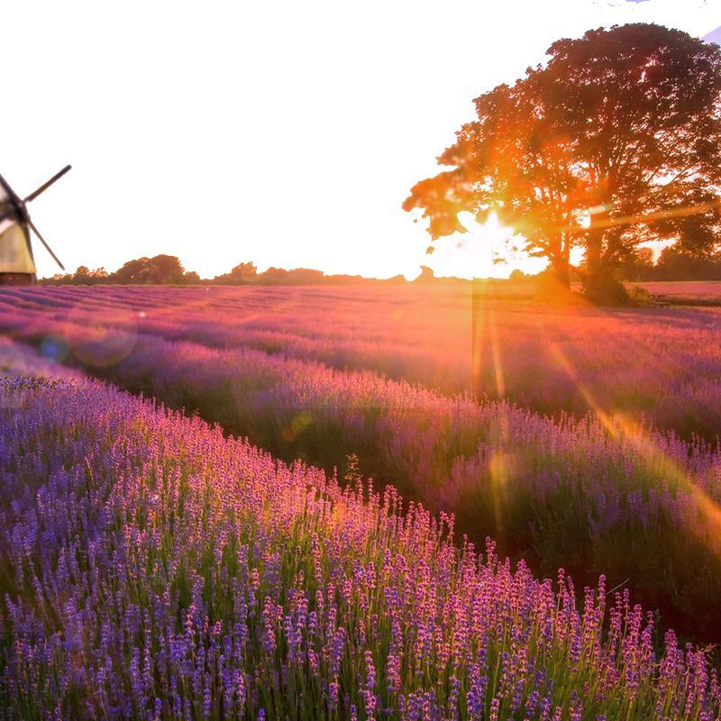 十大外围足球平台app手机版