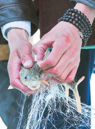 ‘十大外围足球大平台’一线走访问计专家检视问题聚焦发展(图1) 十大外围足球平台app手机版