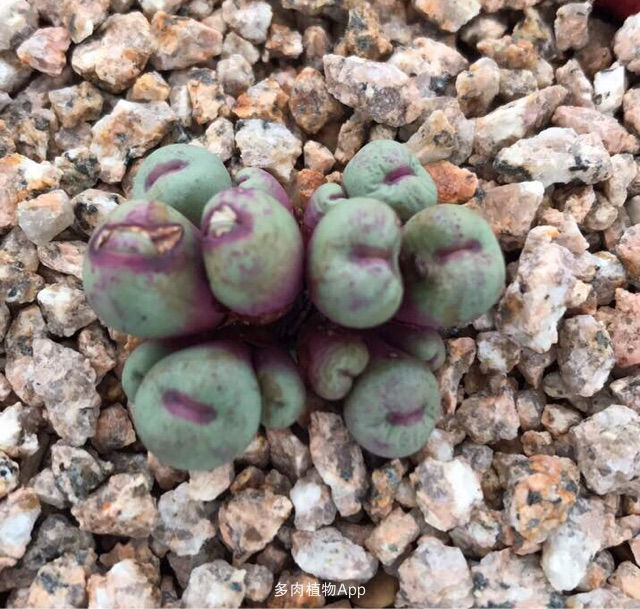 十大外围足球大平台_墙面软包十大品牌排行榜(图1) 十大外围足球平台app