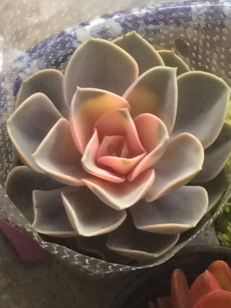 关爱家中老人 如何营造舒适沐浴环境|十大外围足球平台app(图4) 十大外围足球平台app