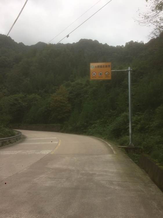 十大外围足球平台app手机版